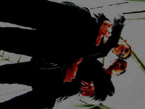 photosubdivision.jpg (9414 octets)
